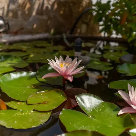 Monolocale Amare 2 דירה