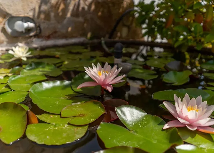 Monolocale Amare 2 شقة